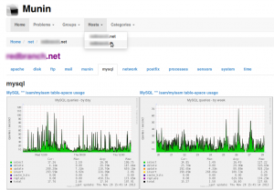 Alternative Munin Template